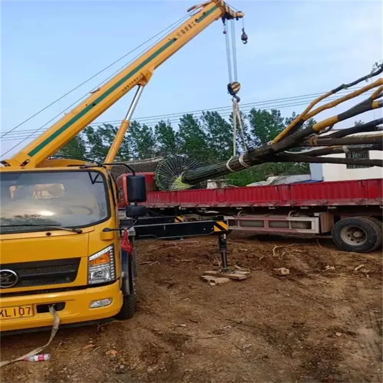 巴东100吨吊车租赁费用怎么算？3大关键因素+省钱技巧全解析